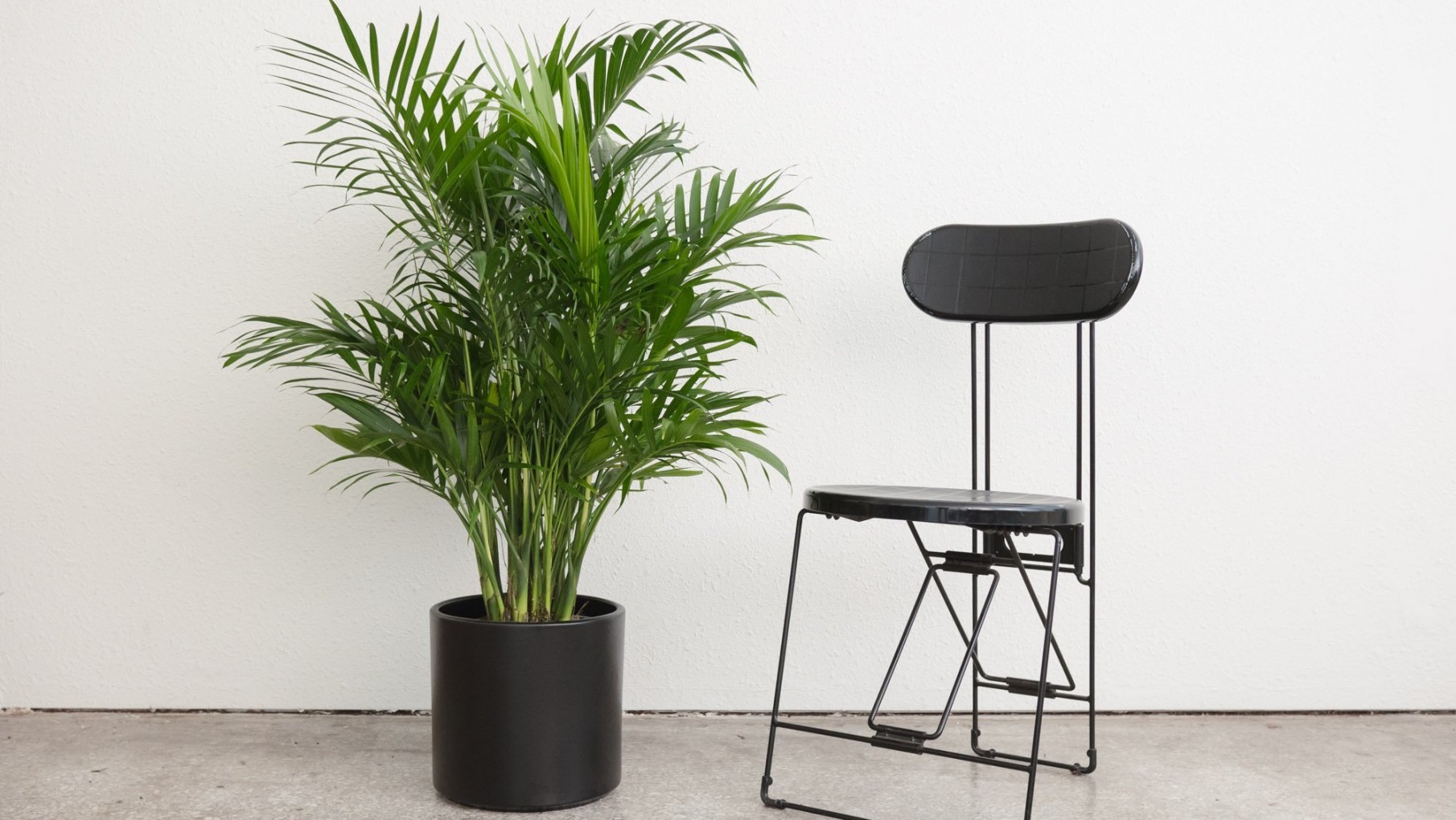 Las Giamportone’s te muestran tres tendencias en deco que veremos en 2019