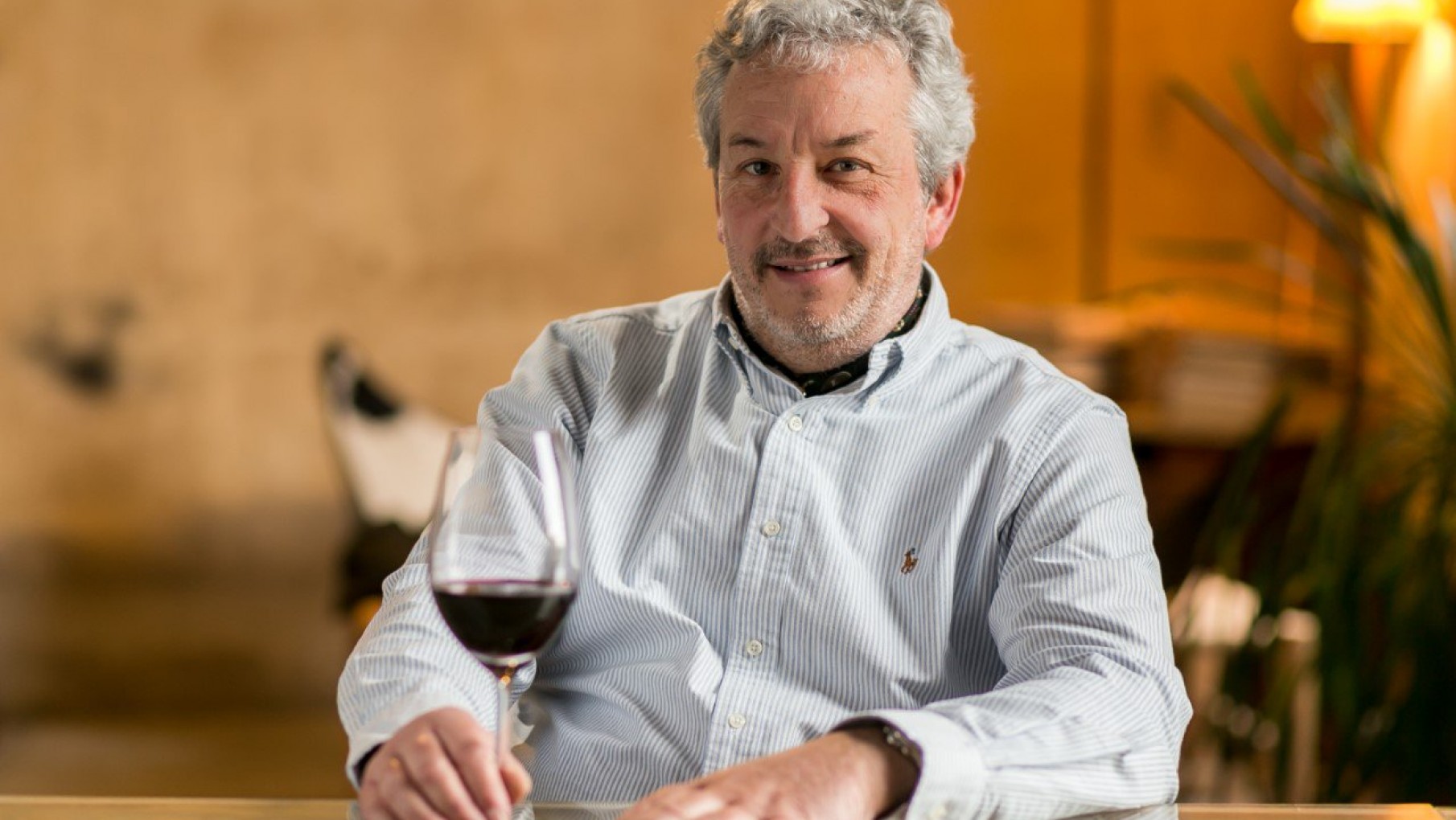 Mirá Quien Vino: Hoy Roberto de la Mota