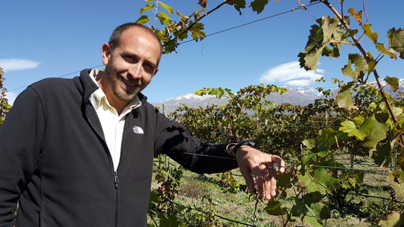 Mirá Quien Vino: Hoy Guillermo Cacciaguerra