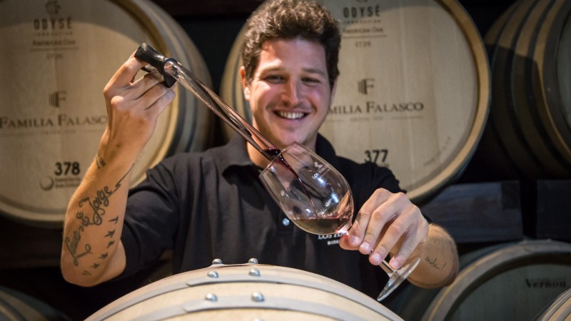 Mirá Quien Vino: Hoy Franco Falasco