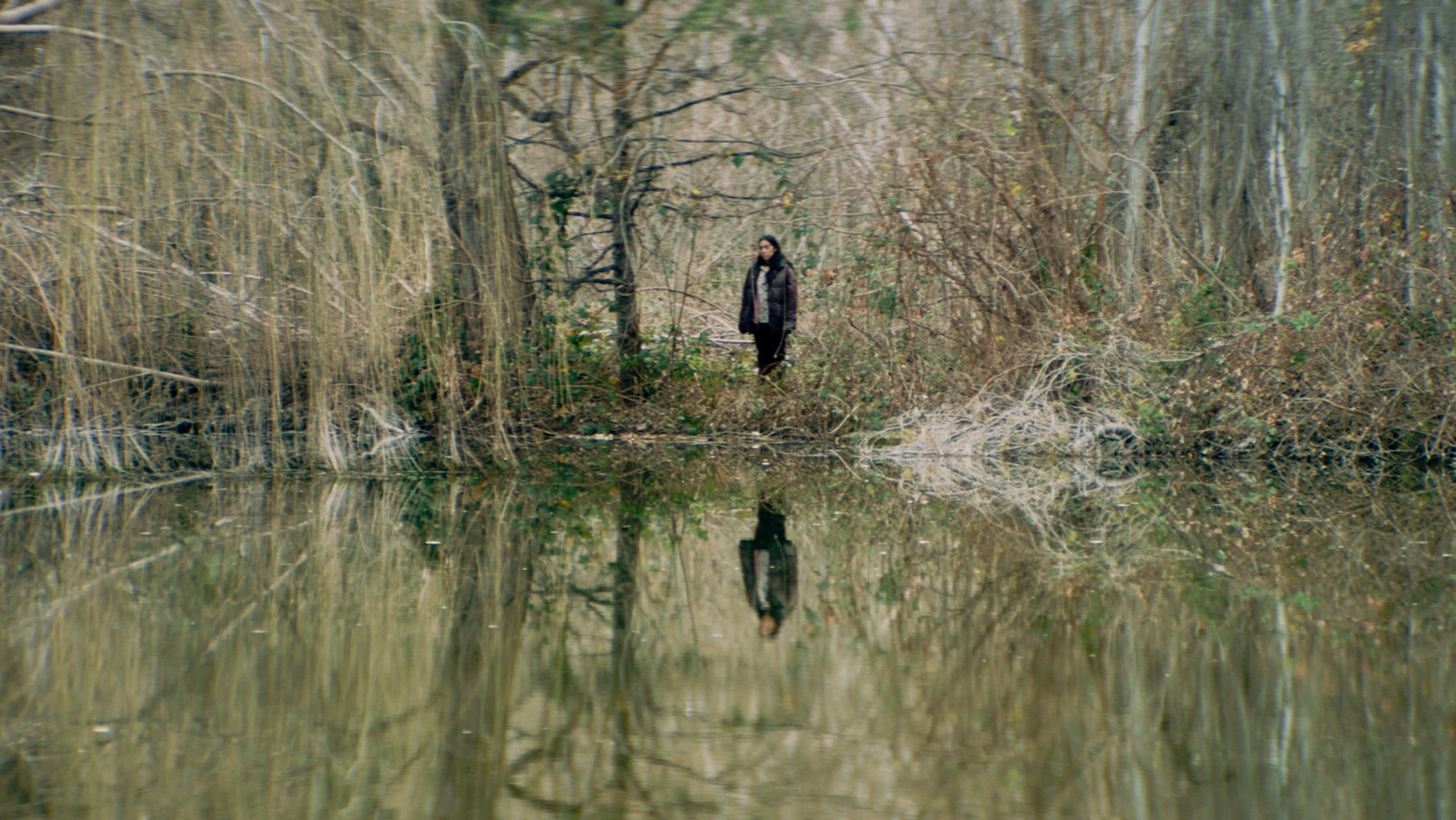 “Muere Monstruo Muere”: cómo es la nueva película del mendocino Alejandro Fadel que llega a salas de todo el país